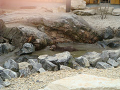 Toniszoo_2013